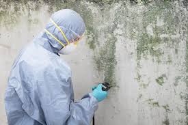 Forensic Mold Investigation in Dunstan, ME